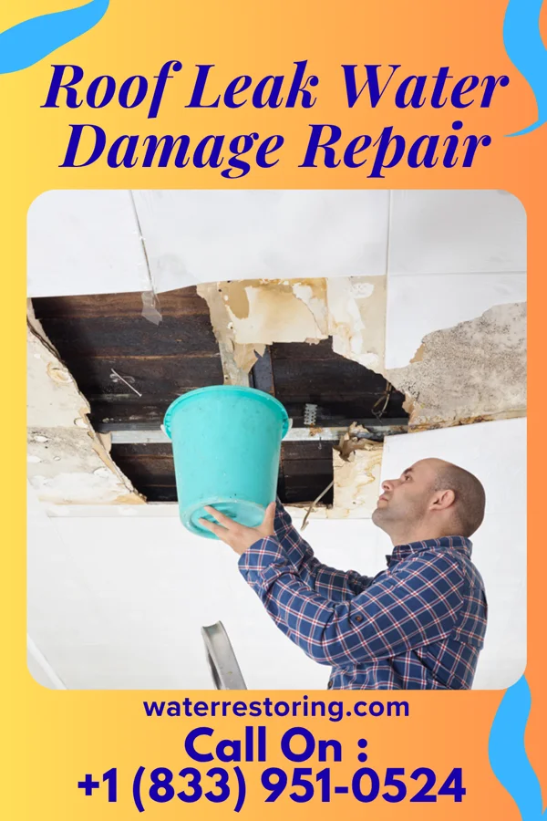 Roof Leak Water Damage Repair in Coyote Flats, TX